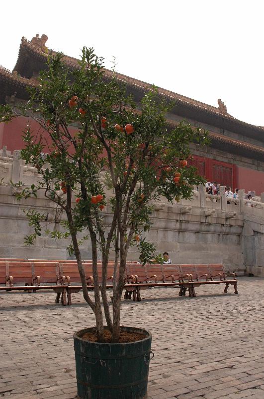 peking08_057